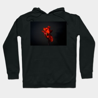 Red Canna Lilies Still Life Hoodie